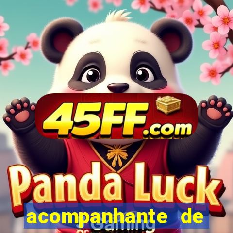 acompanhante de porto seguro
